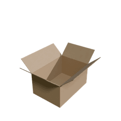 22×15×10 inch RSC box