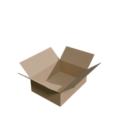 12.125×9.125×3.5 inch RSC box
