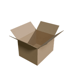 19.5×15.25×11.75 inch RSC box